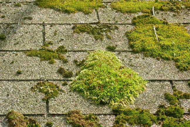 roof restoration experts roof restoration experts